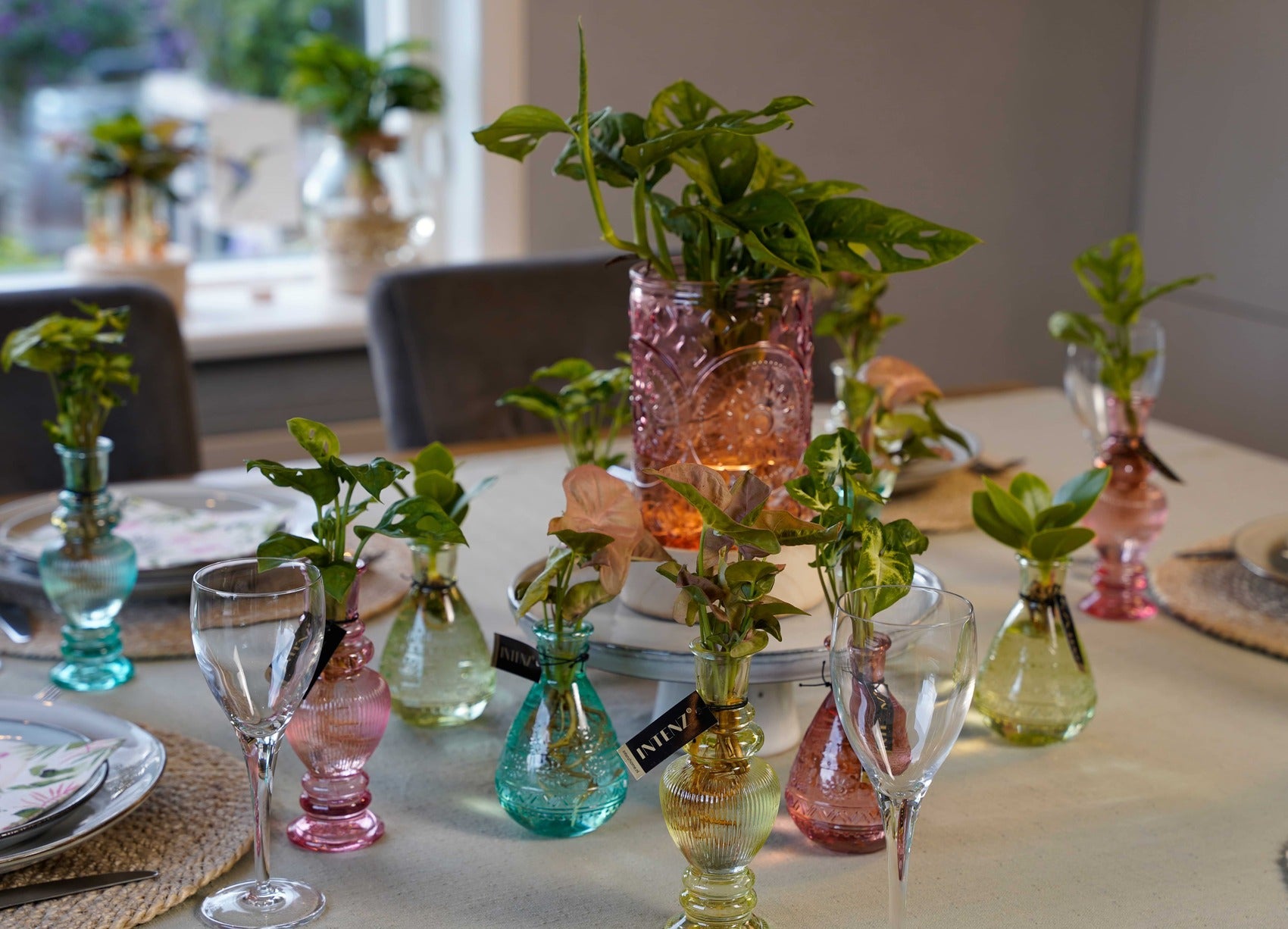 Tafel met gekleurde vaasjes voor stekjes op water